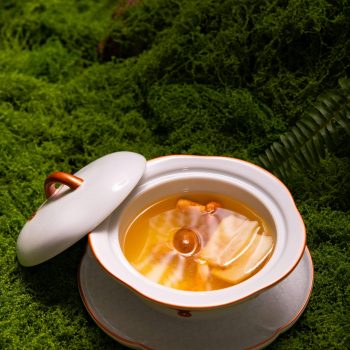 Delicate white porcelain bowl of herbal soup nestled on vibrant green moss in a calming forest setting.